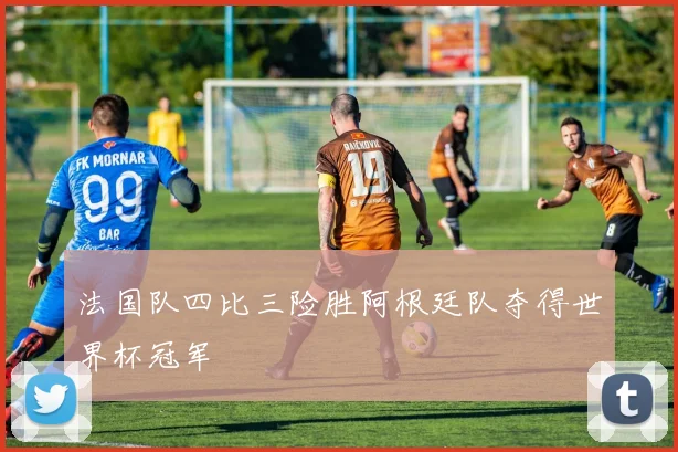 法国队四比三险胜阿根廷队夺得世界杯冠军