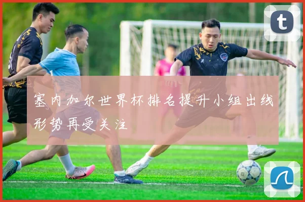 塞内加尔世界杯排名提升小组出线形势再受关注
