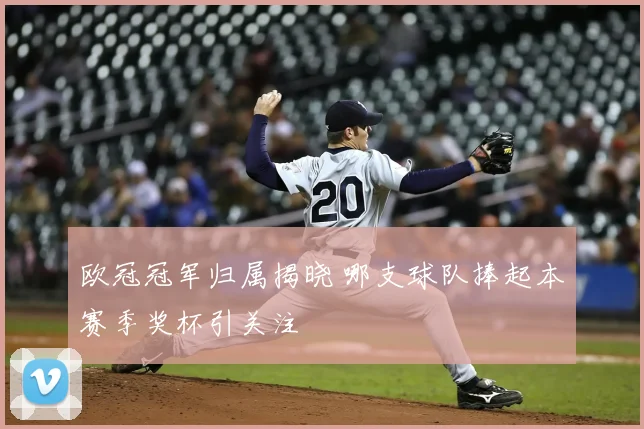 欧冠冠军归属揭晓 哪支球队捧起本赛季奖杯引关注