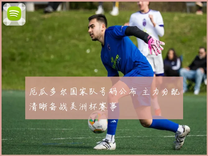 厄瓜多尔国家队号码公布 主力分配清晰备战美洲杯赛事