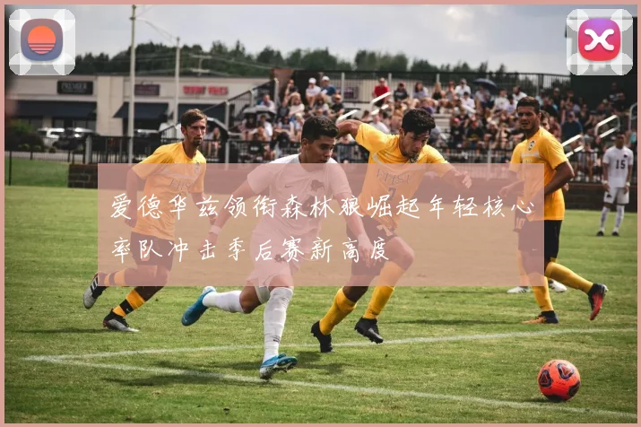 爱德华兹领衔森林狼崛起年轻核心率队冲击季后赛新高度