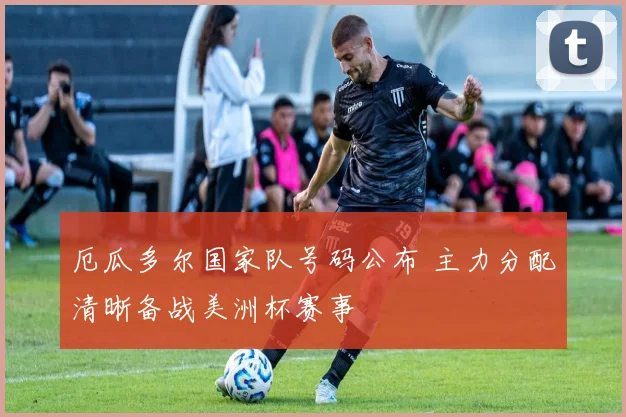 厄瓜多尔国家队号码公布 主力分配清晰备战美洲杯赛事