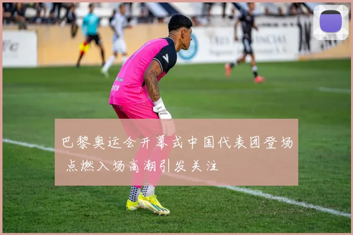 巴黎奥运会开幕式中国代表团登场 点燃入场高潮引发关注